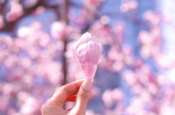 入園・入学にも！春ネイル
