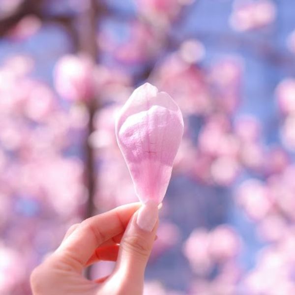 入園・入学にも！春ネイル